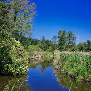 DSC_8454_DxOn.jpg