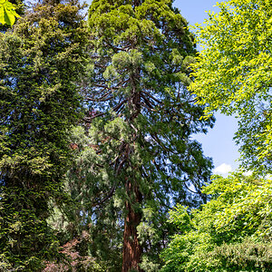 20250517-NZ7_2856-Pano.jpg
