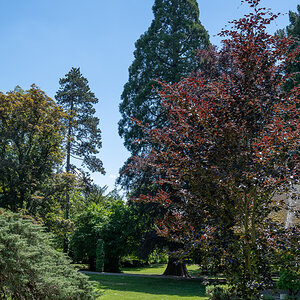 20250517-NZ7_2851.jpg