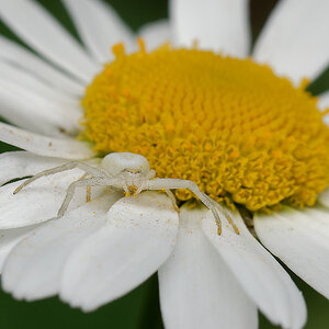 N5299238nikon.jpg