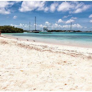 Compressed_0888.jpg