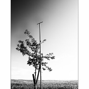 LugnezDSC_2136.jpg
