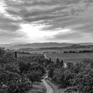 2025_06_03__DJI_20250603060154_0023_D_LN.jpg