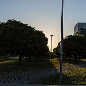 DSC_6465.jpg