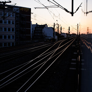 DSC_f7027.jpg