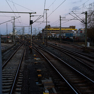 DSC_f7029.jpg
