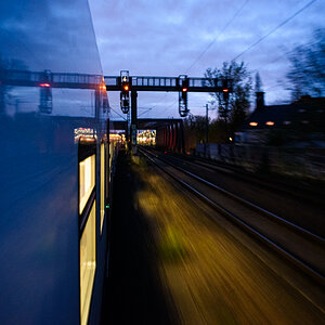 DSC_f7057.jpg