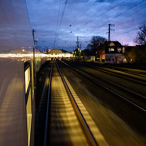 DSC_f7067.jpg