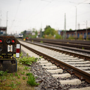 DSC_f7134.jpg