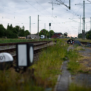 DSC_f7633.jpg