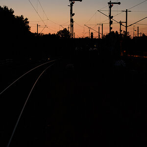 DSC_f7665.jpg