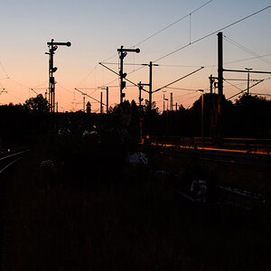 DSC_f7667.jpg