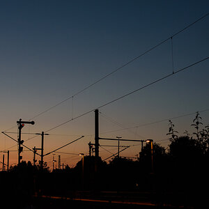 DSC_f7669.jpg