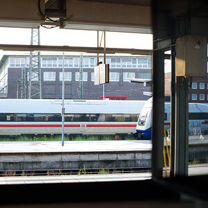 DSC_f7678.jpg