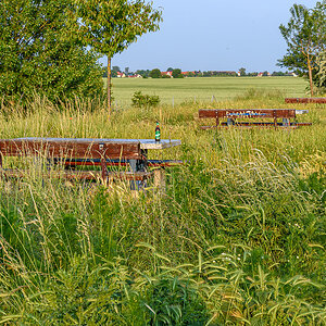 OF2_74376.jpg