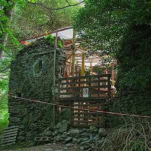 2025-05-30_07-37-41_NIKON Z 5.jpg
