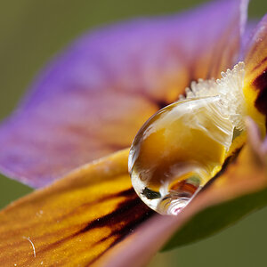 N6099833nikon.jpg