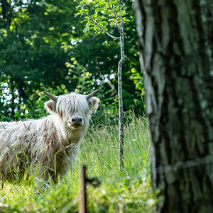 DSC_6613.jpg