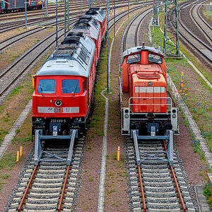 OF2_74506.jpg