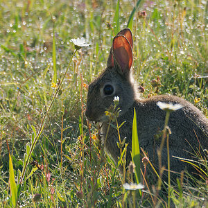 N6119929nikon.jpg