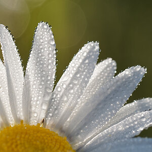 P6116187nikon.jpg