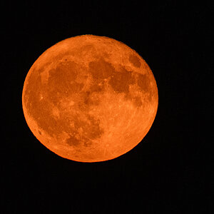OF5_50030.jpg