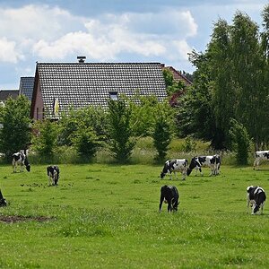 Wohnen auf dem Lande.jpg