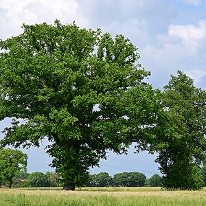 Z8A_0770t5l5s40p1.jpg