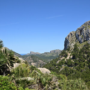 DSC_4417.JPG