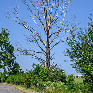 OFZ_01172.jpg