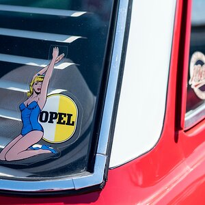 ar-546-11.jpg