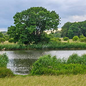 FZ_00991.jpg