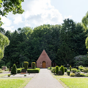 250619-006.jpg