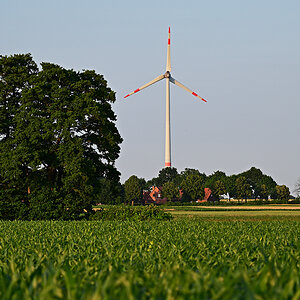 Z8A_0811t5l5fks40p1.jpg
