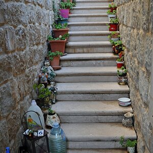 split_altstadt_treppe.jpg