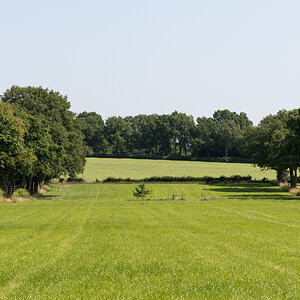 250621-007.jpg