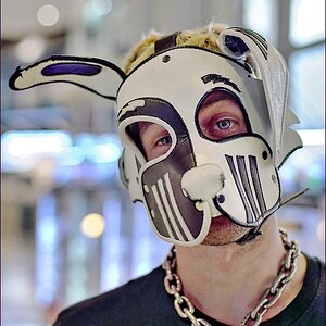 comp_2IchHund-lumi.jpg