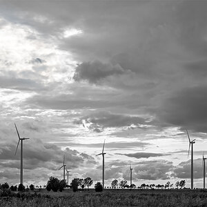OFZ_00965sw.jpg