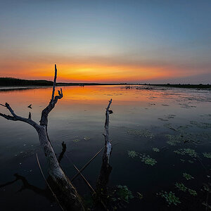 2025-06-14 020 Sunrise in the Danube Delta.jpg