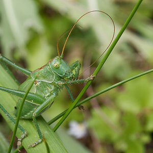 N6251989nikon.jpg