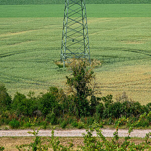 OFZ_01249.jpg