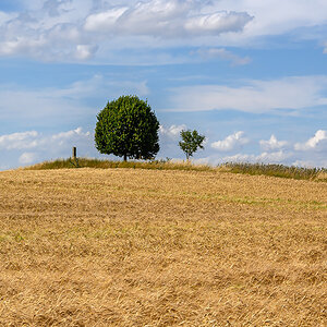 OFZ_01452.jpg