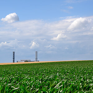 OFZ_01382.jpg