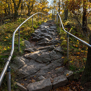 OF2_70618.jpg