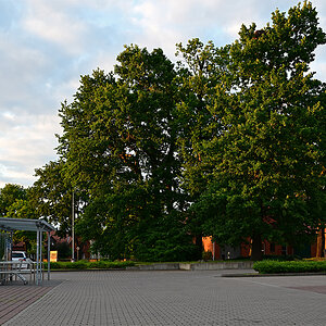 Z8A_0890vp-15t5l5s40p1.jpg
