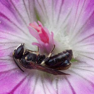 N6089781nikon.jpg