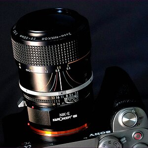 comp_228-50.jpg