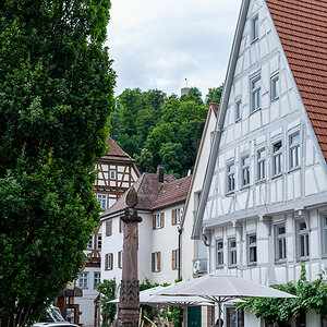 DSC_6718.jpg
