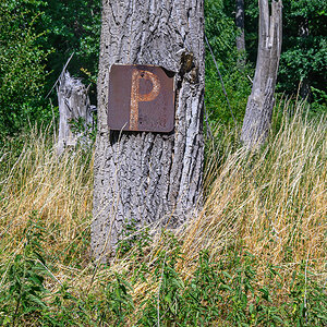 OFZ_01586.jpg