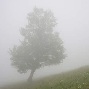 Jura.jpg
